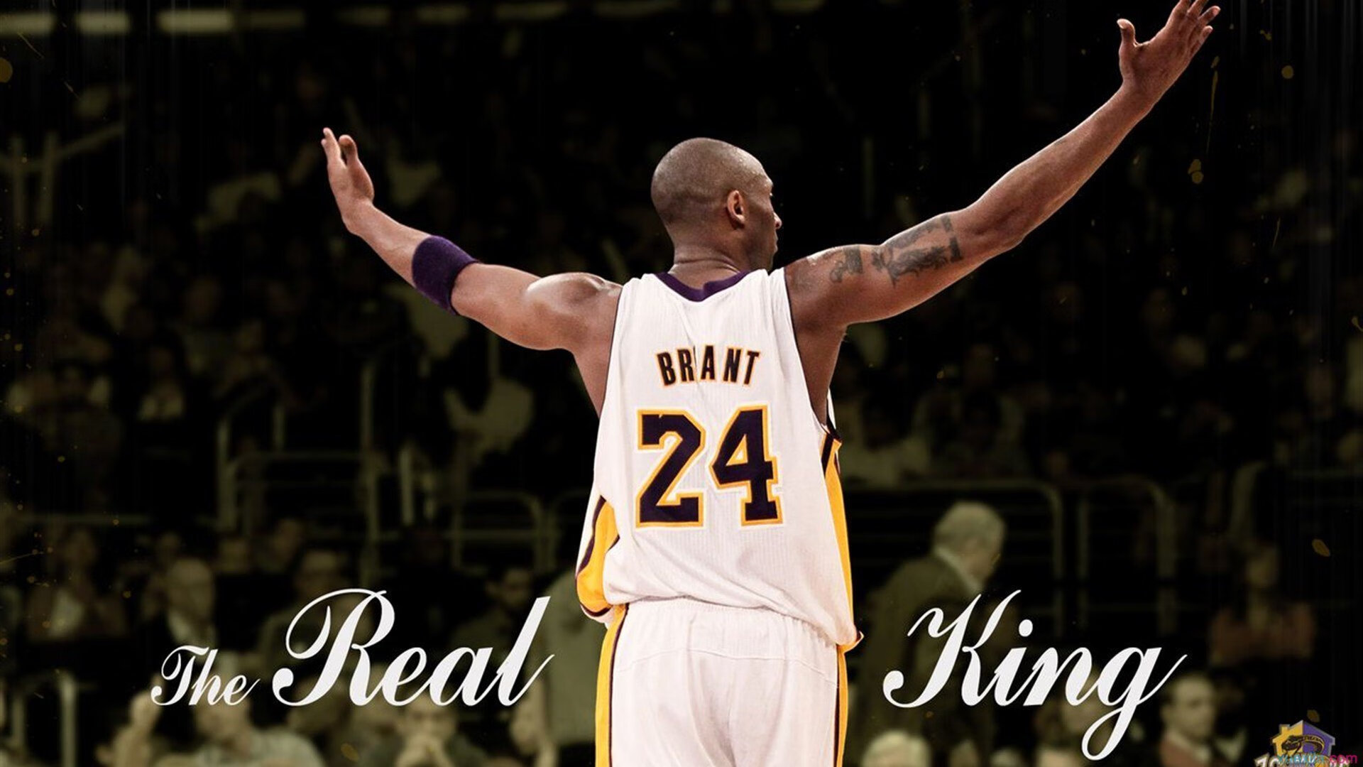 WRC威尔士：泥泞中的勇者挑战极限