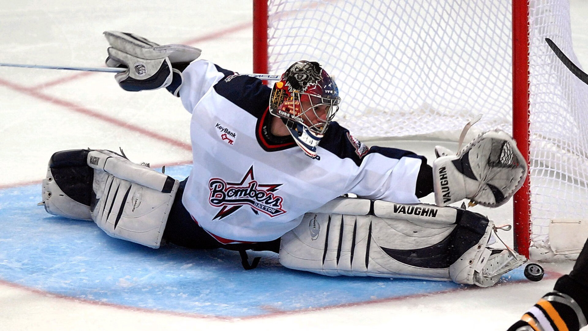 “野外追逐”——荒漠、山地、雪原的极限角逐，野外雪景图片